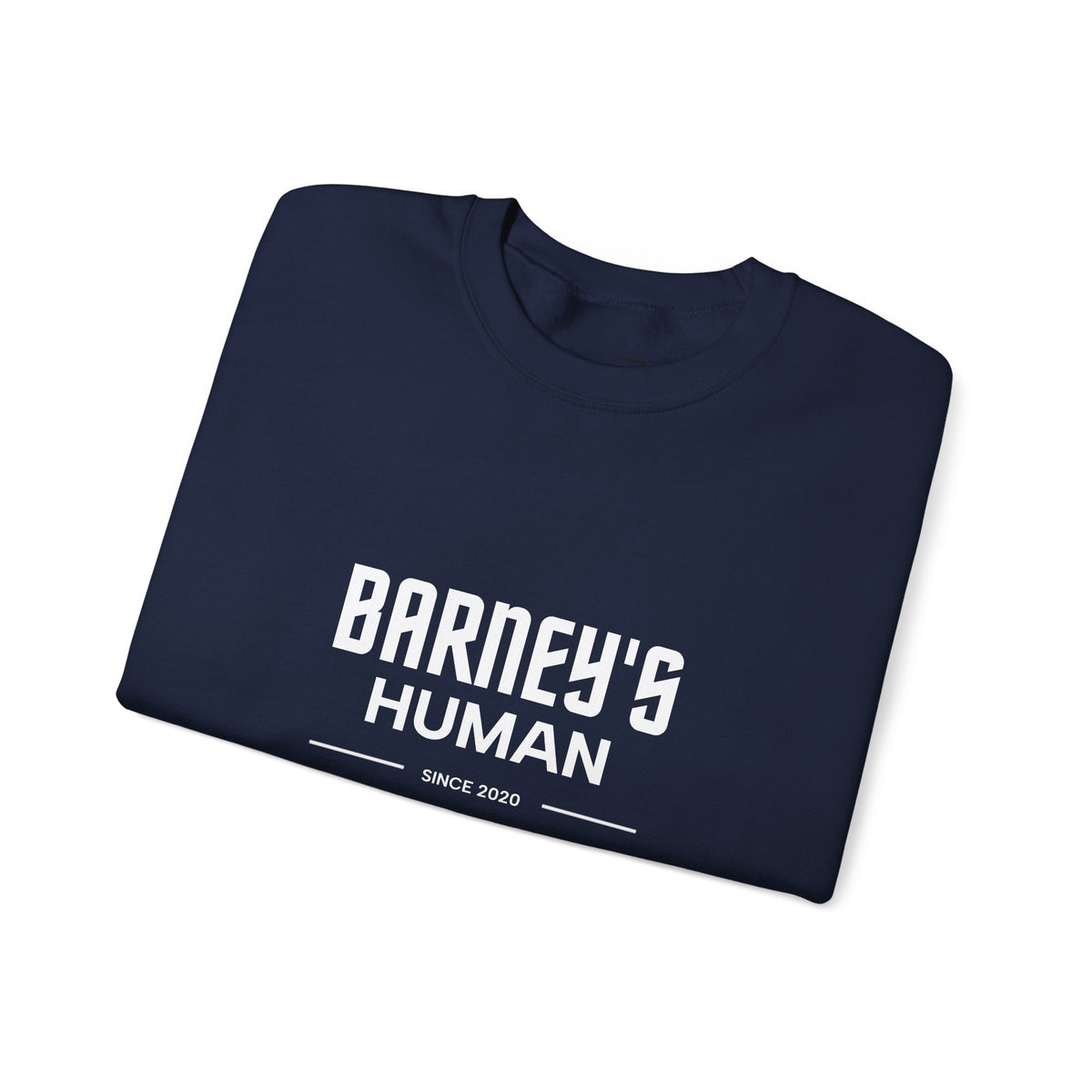 Personalised Pet’s Human Sweatshirt | Custom Dog or Cat Name Jumper