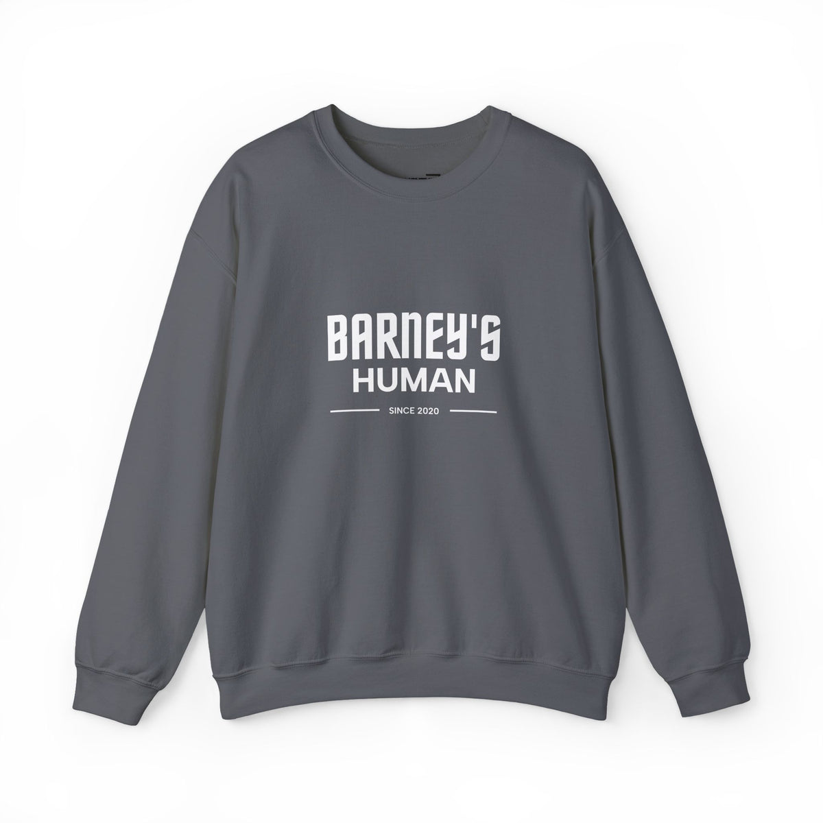 Personalised Pet’s Human Sweatshirt | Custom Dog or Cat Name Jumper